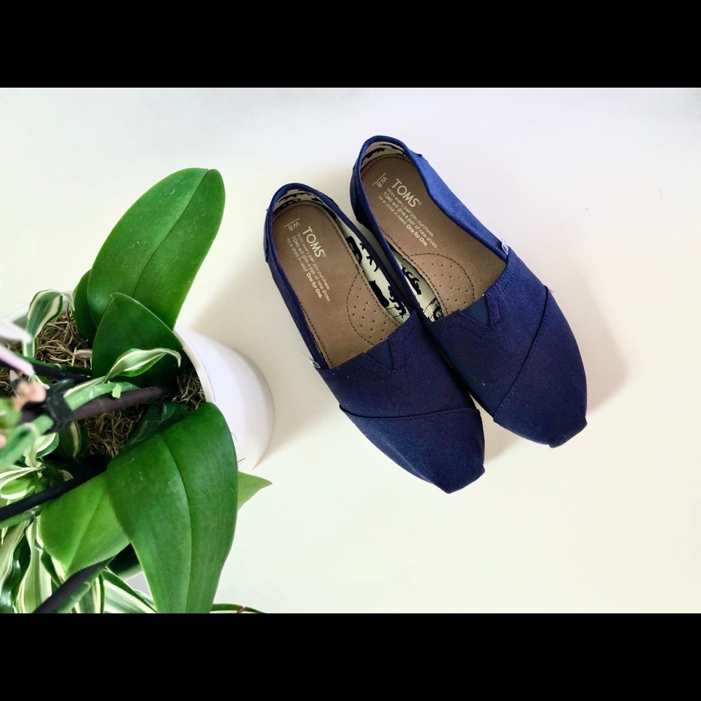 Brand New Navy Blue Toms